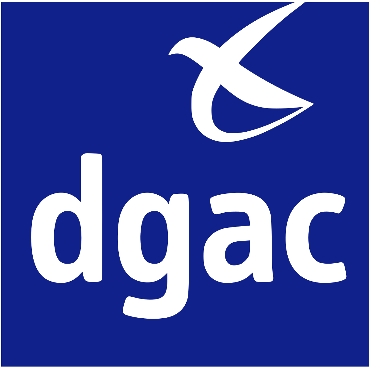 Logo DGAC