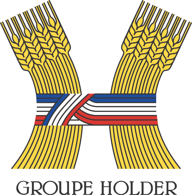 Logo Avant vente Groupe Holder (Devoteam)